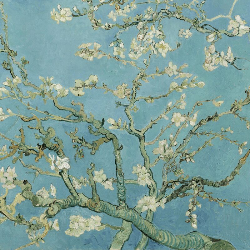 ゴッホが甥っ子に贈った絵
花咲くアーモンドの木