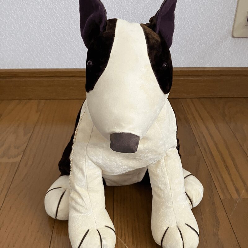 修理した犬のぬいぐるみ
