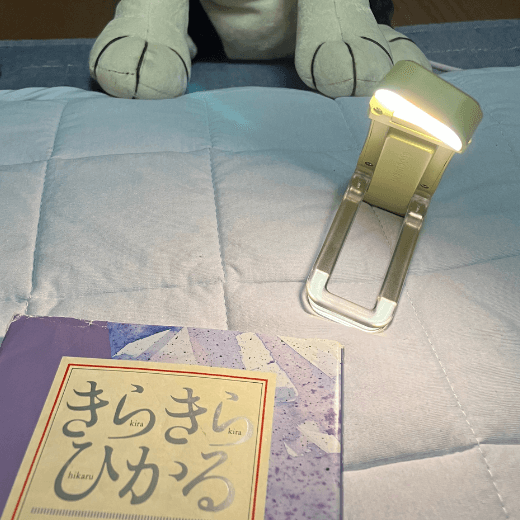 夜の読書