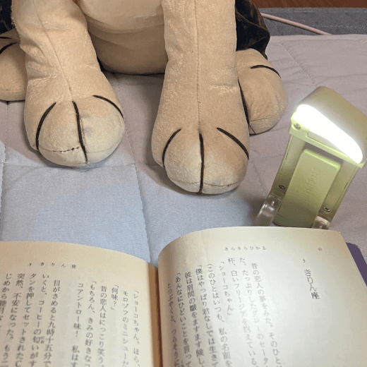 小型ブックライト
